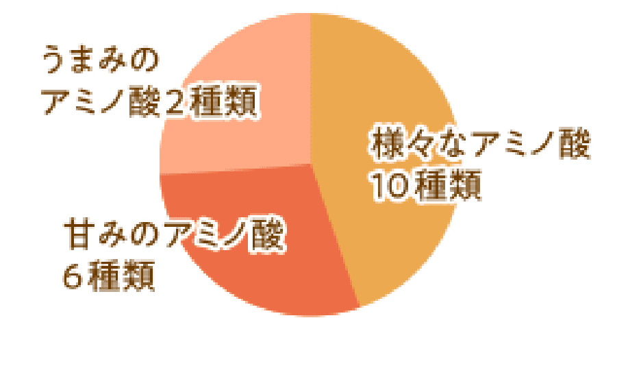 うまみのアミノ酸2種類 甘みのアミノ酸6種類 様々なアミノ酸10種類